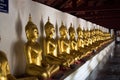 Golden Buddha in rows Royalty Free Stock Photo