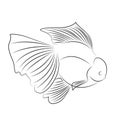 Line Goldfish Oranda Logo Vector Design