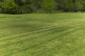 Line of grass cut in the field. Royalty Free Stock Photo