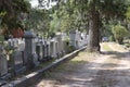 Graves at Cemetery in Savannah Royalty Free Stock Photo