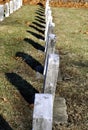 Line of gravestones