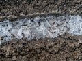 Line of ice shards between frozen mud