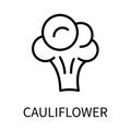 Line Icon Cauliflower In Simple Style. Vector sign in a simple style isolated on a white background. Original size 64x64