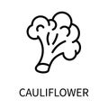 Line Icon Cauliflower In Simple Style. Vector sign in a simple style isolated on a white background. Original size 64x64