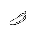 Line icon. Cucumber symbol