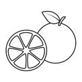 Line icon grapefruit