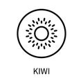 Line Icon Kiwi In Simple Style. Vector sign in a simple style isolated on a white background