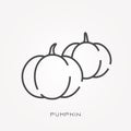 Simple vector illustration with ability to change. Line icon pumpkin