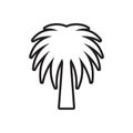 line icon tree dates or palm tree isolated on white background