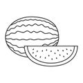 Line icon watermelon and slice of watermelon