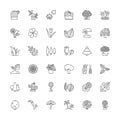 Line icons. Flowers, plants and trees