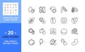 Line icons about nuts and seeds. Pixel perfect 64x64 and editable stroke