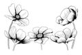 line ink drawing of cosmos flower in black and white Royalty Free Stock Photo