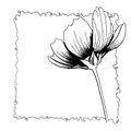 line ink drawing of cosmos flower in black and white Royalty Free Stock Photo