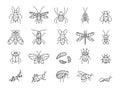 Line insects. Bug icons. Beetle and caterpillar. Outline pest symbols. Cricket and mosquito. Little animal. Winged