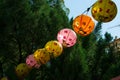 Line many-coloured chinese paper lanterns against tree