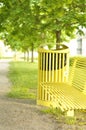 Line of maple trees by the walkway and a beautiful lawn. Yellow bench and garbage bin of metal in the park