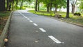 Line markings of an asphalt road going through scenic a park