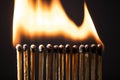 Line of matches without distance where they are lit one by one spreading the fire. COVID-19 spreads the same if there is not Royalty Free Stock Photo