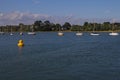 Line of Moored Sailboats in background