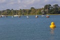 Line of Moored Sailboats with Shoreline