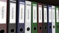 Line of multicolor office binders with Reports tags 3D rendering
