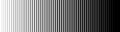 Line pattern. Vertical straight background. Black abstract texture with parallel lines from thick to thin. Vertical straight