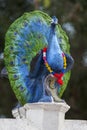 A line of peacock statues line the main courtyard at the Kataragama temple in southern Sri Lanka near Tissamaharama.