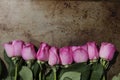 Line of Pink Roses on Metal Background