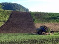 Line of plots on highland farm