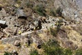 Line Of Porters Carrying Supplies For Tourist Machu Picchu Trail