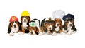 Line of puppies in work hats