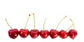 Line of red cherries Royalty Free Stock Photo