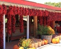 A line of red dried bunches of chilies