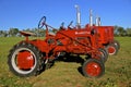 Line of Red Farmall Tractors