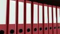 Line of red office binders. 3D rendering