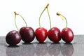 A line of red ripe cherries on a white background Royalty Free Stock Photo