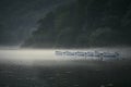 A line of rowing boats moored in a misty lake