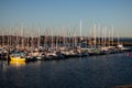 line of sailing boats sitting in howth marina