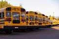 Line of school buses parked in a row during sunrise. Back to School. Royalty Free Stock Photo