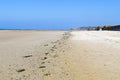 A line of seaweed and shells shows the high tide mark on a beach in Jersey