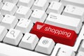 On-line Shopping Royalty Free Stock Photo