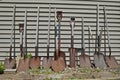 A line of shovels and spades in a line Royalty Free Stock Photo