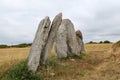 Line of the six menhirs of Vieux-Moulin - Old Mill - near Plouharnel in Brittany