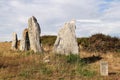 Line of the six menhirs of Vieux-Moulin - Old Mill - near Plouharnel in Brittany