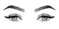 Line sketched woman eyes with long lashes and eyebrows, vector illustration. Royalty Free Stock Photo