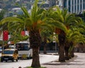 Line of small palm trees in the street with traffic cars in the City Alanya in the daytime