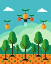 A line of solarpowered drones hovered above a large orchard their sensors detecting variations in light and moisture