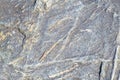 Line stone background. Dark grey and white granite untreated surface. Natural texture.