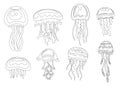 Line style icon. Set of Sea jellyfish. Tropical underwater animal. Medusa aquatic organism, cartoon style design. Flat Royalty Free Stock Photo